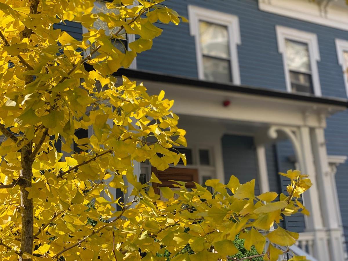 Ginkgo House On Harvard Cambridge Exterior foto